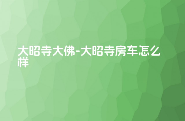 大昭寺大佛-大昭寺房车怎么样-第1张