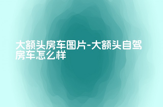 大额头房车图片-大额头自驾房车怎么样-第1张