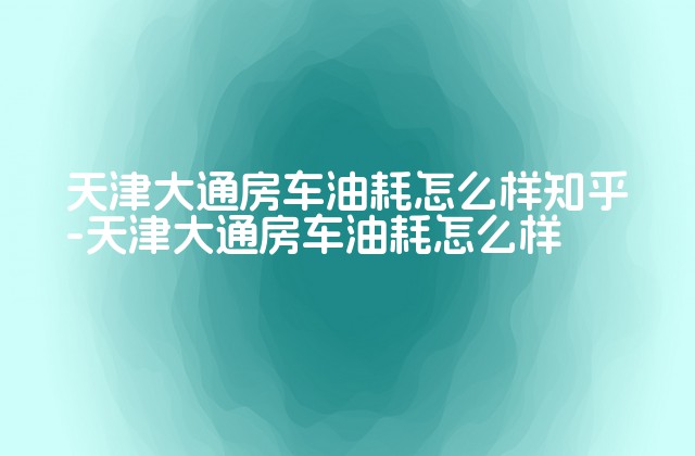 天津大通房车油耗怎么样知乎-天津大通房车油耗怎么样-第1张