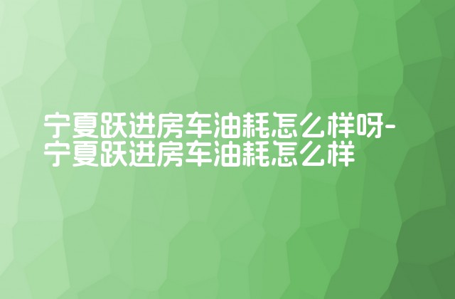 宁夏跃进房车油耗怎么样呀-宁夏跃进房车油耗怎么样-第1张